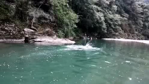救援七星瓢虫